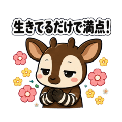 shiro yukimin_20260519094858