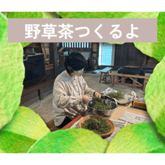 noinoi_20260508231249