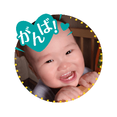 felt08_20260519103638
