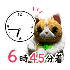 Torasan_20260509013024