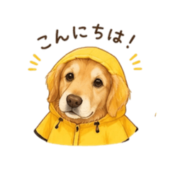 Tofu_20260519113119