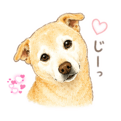 Mayu_20260519112518