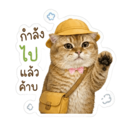 NAnastiker