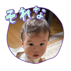 pochan_20260519071101