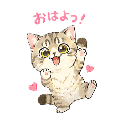 NARUMERU_20260519102713