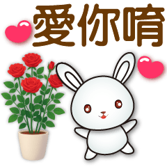 可愛白兔日日實用問候