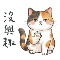 傲嬌小花貓真難搞