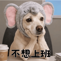 Dog-themed animated stickers