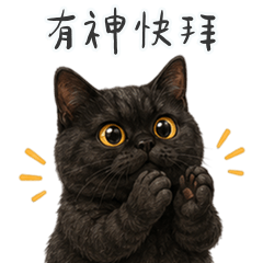 豬餅小黑貓有神快拜