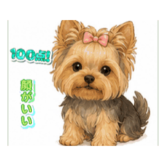 tina_20260524195234