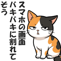 A cat with weird biases