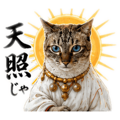 momo_20260519155449