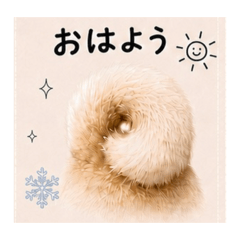 T.KOSAKA_20260517203035