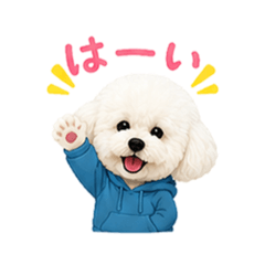 Irodori_20260519162952