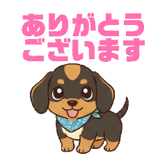 suisuisuu_20260516200422