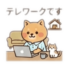 saya_20260517224837
