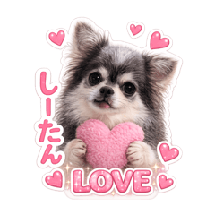 kira_20260518034134