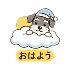 Schnauzer dog Tonton