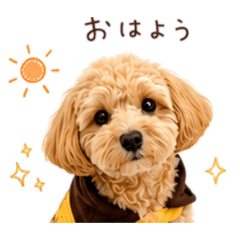 Moca_20260518152135