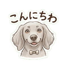 Miki_20260518160523