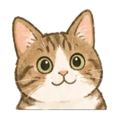 meow_20260518151001