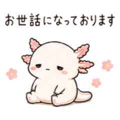 KYOMU SARU_20260518160940