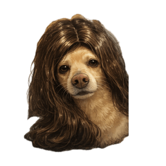 PUPPU_20260518171233