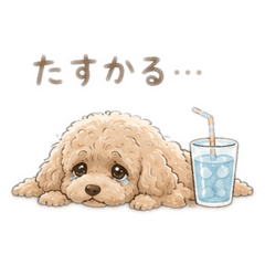 yururin_20260518171543