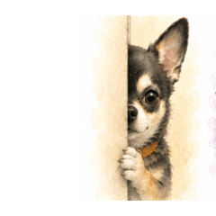 wanwan_20260518164714