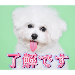 yukke_20260518170857