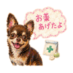 Ohtorii Animal Hospital_20260518174059