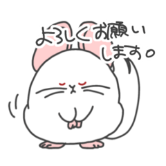 chinchilla kogemochi family