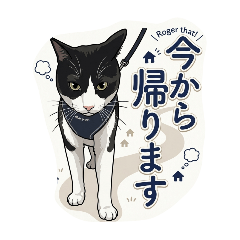 haru_20260518200416