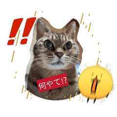 riwawanko_20260518202742