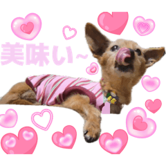 haruki_20260518212202