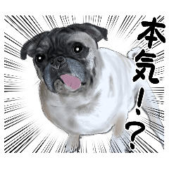 89島ちゃん