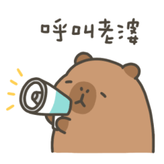 卡皮巴拉小水豚呼叫老婆