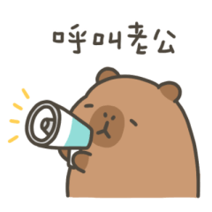 卡皮巴拉小水豚呼叫老公