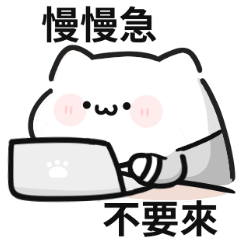 工作貓貓!