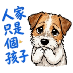 傑克羅素小寶寶