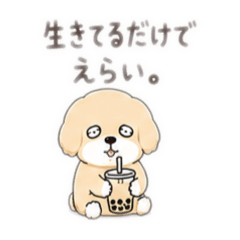 Miya_20260518235225
