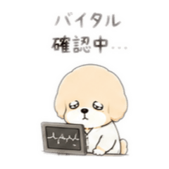 Miya_20260519013715
