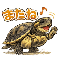 CHAO_20260519061041