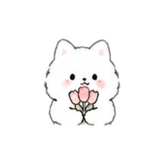 Muun_20260519080409