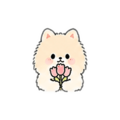 Muun_20260519080707