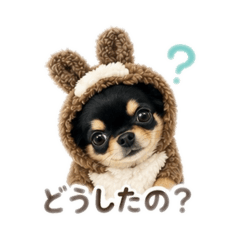 hirosan_20260519090012