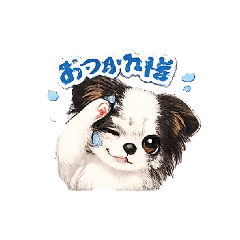 The Shimoda family's doggies