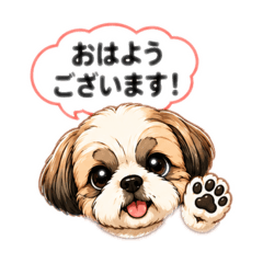 Yong_joy_20260519175302