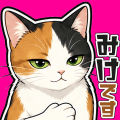 I am a calico cat.