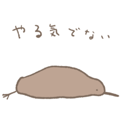 Unmotivated Kiwi